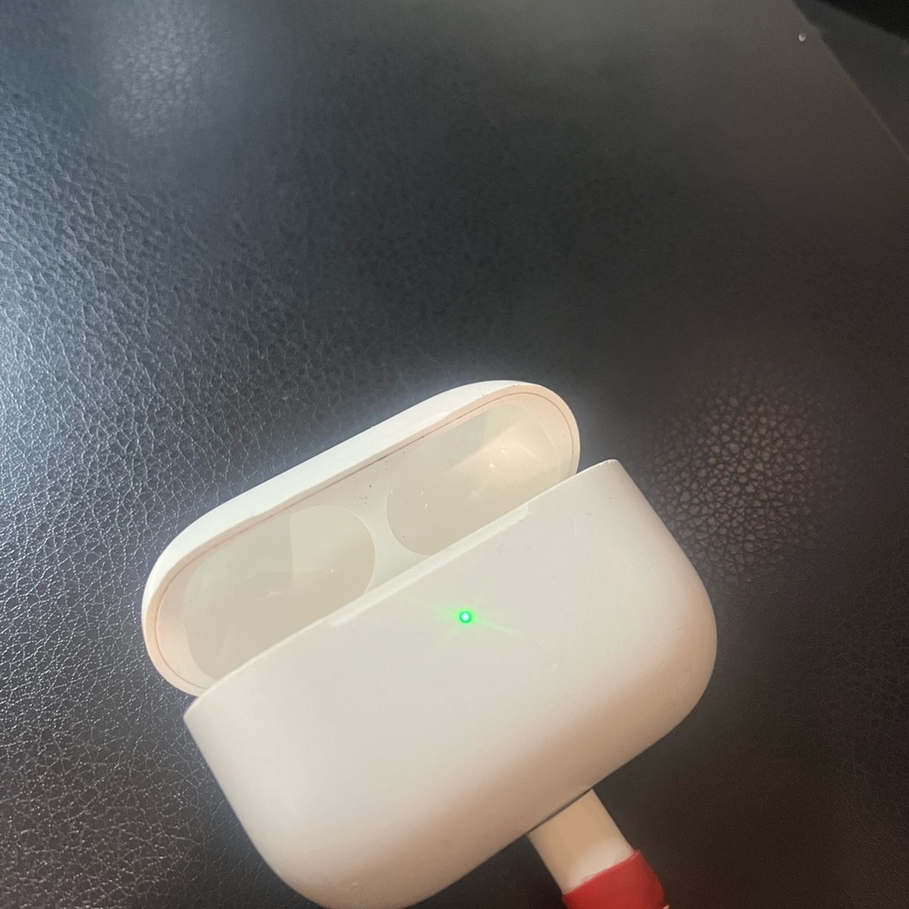 AirPods Pro charging case- half working